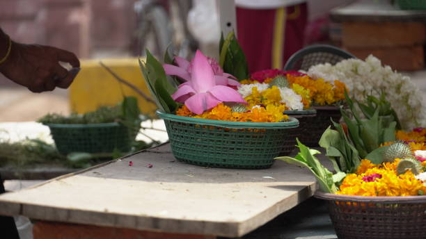 istock beautiful flower hd image outdoor 1422963465