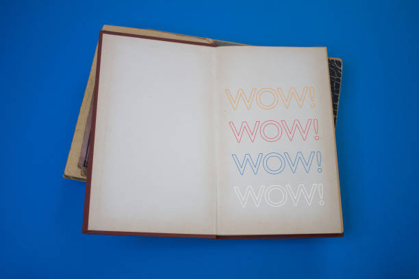 istock Wow word in opened book with vintage, natural patterns old antique paper design. 1422967486