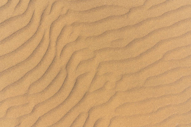 textura de las dunas de arena en el fondo del desierto - sandy brown fotos fotografías e imágenes de stock