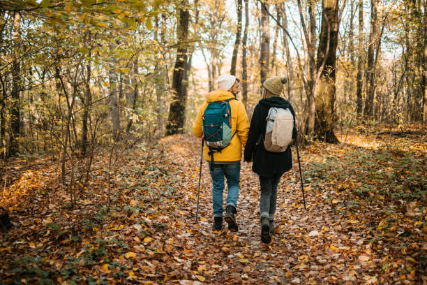 istock A couple of hikers walking through the forest 1422982241