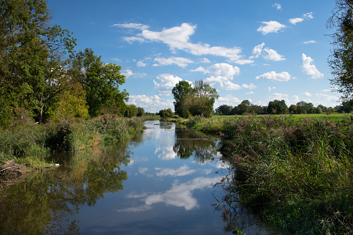 The sky and white clouds are reflected in a quiet little creek with plants growing on its banks.