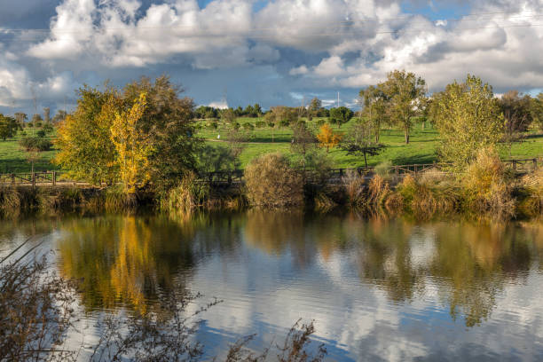 istock Autumnal pond at sunset 1422987796