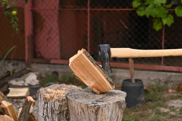istock an axe splits a log. eco-fuel. 1422987940