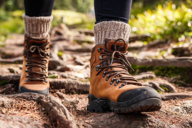 Leather hiking boots walking on mountain trail stock photo