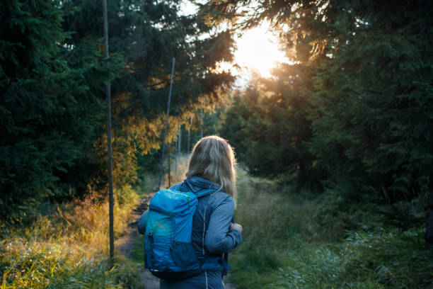 istock Twilight in woodland is fast 1422989588