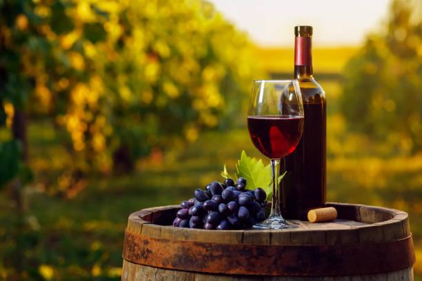 red wine in glass and grape on wooden barrel with vineyard stock photo