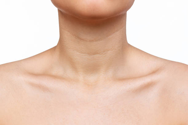 cropped shot of young woman with wrinkles, age-related changes, rings of venus, on her neck - clavicle imagens e fotografias de stock