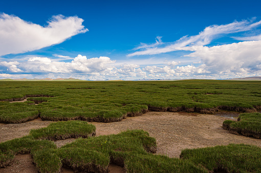 Wide grassland wetland and remote mountain background, taken in Chadan Wetland, Zaduo County, Qinghai Province, China in August 2022