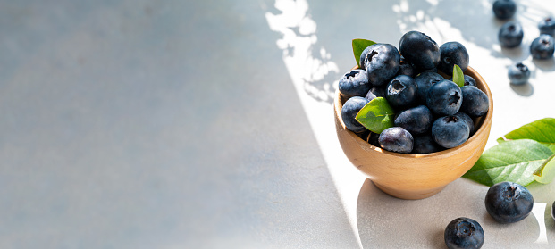 Blueberries banner, berry in wooden bowl, on bright background. Healthy food template, mockup with copy space for text