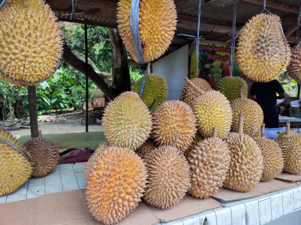 istock Durian fruit placed on the table for sale. 1423005086