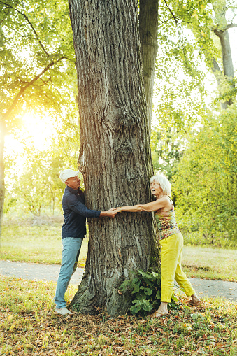 Senior couple in park around tree. Elderly man and woman holding hand standing around a tree at public park.