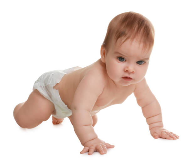 istock Cute little baby crawling on white background 1423009599
