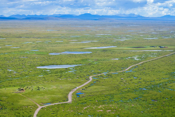 istock Wide grassland wetland and remote mountain background 1423012692