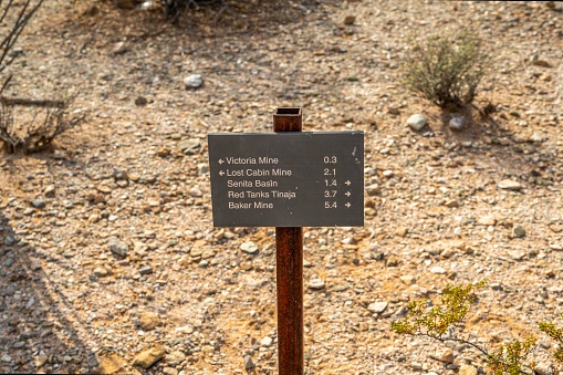 Organ Pipe NM, AZ, USA - Jan 22, 2022: The different kinds of trials going to its scenic destination