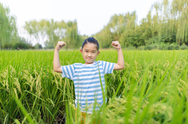 Little girl in rice paddy