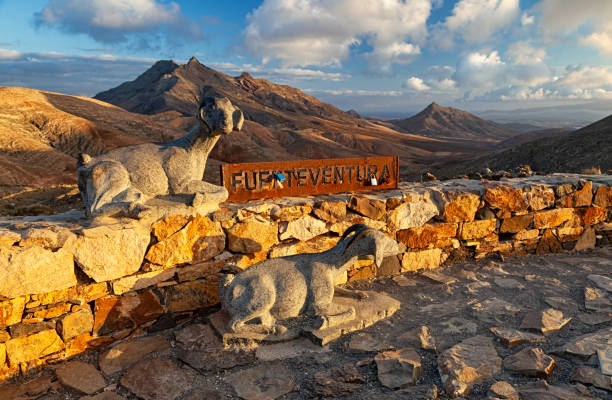 montana cardon sonnenuntergang blick vom mirador de sicasumbre, fuerteventura insel, spanien. - fuerteventura stock-fotos und bilder