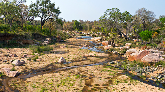 Sabie River Landscape, Kruger National Park, Mpumalanga, South Africa, Africa