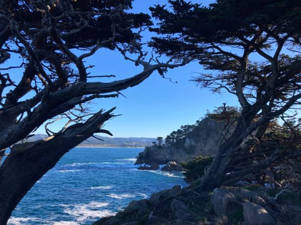 istock View of the Pacific Ocean 1423027759
