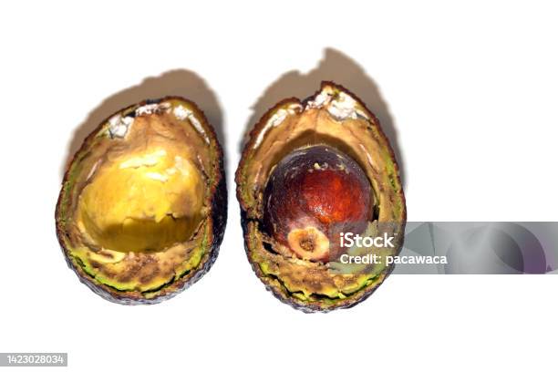 Avocado Rust Rotten Avocado With Mold Split In Half Avocado Is Spoiled Stock Photo ...