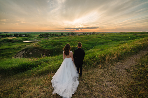 Beautiful bride and groom in a field with sunlight. Sunshine portrait of newlyweds outdoor in nature location at sunset. A couple walking and holding hands in a meadow in green grass. Back view.