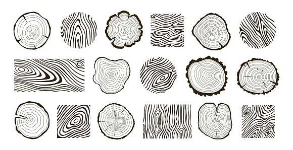 Wooden logs textures. Wood concepts graphics, lumber circles top view. Vintage outline tree rings stumps, cut trees structure racy vector collection of wood graphic texture wooden illustration