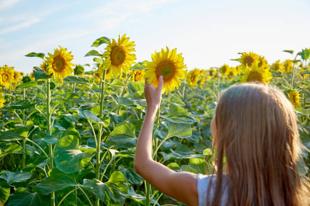 istock girl in sunflowers 1423034038
