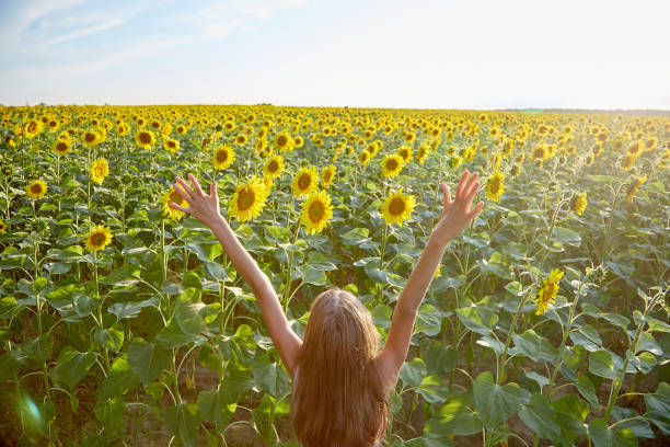 istock girl in sunflowers 1423034040