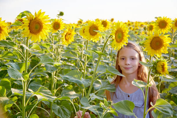istock girl in sunflowers 1423034062