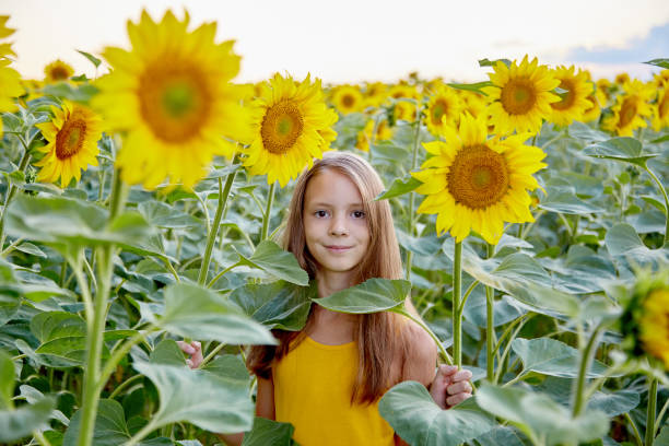 istock girl in sunflowers 1423034192