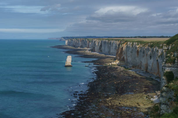 istock High angle view at teh coastline with chalk cliffs and rock formations on a summer day at Etretat, Normandy, France 1423034730