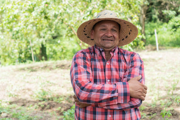 istock Smiling farmer standing on a crop 1423035943