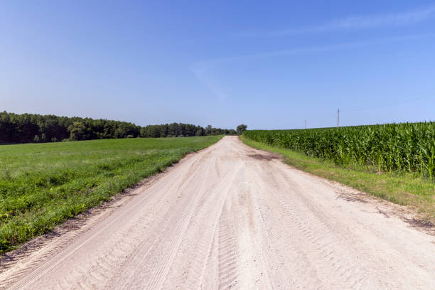 Rural road and power lines leading to a field in countryside