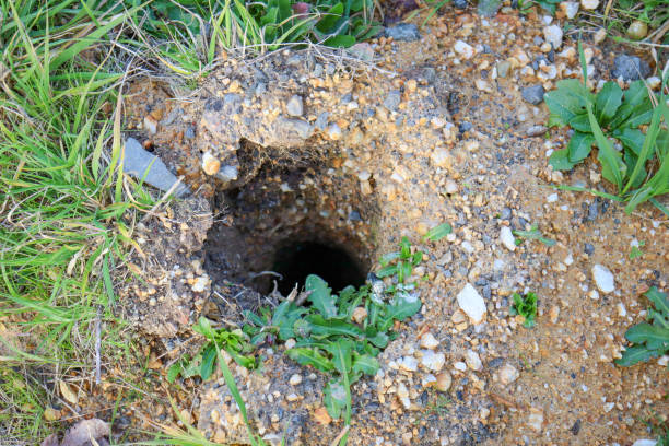 geotechnical soil site survey for building construction hole sunk into ground for soil survey before building construction soil tester stock pictures, royalty-free photos & images