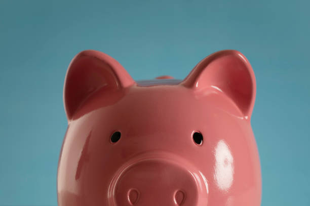 istock Piggy Bank 1423040542