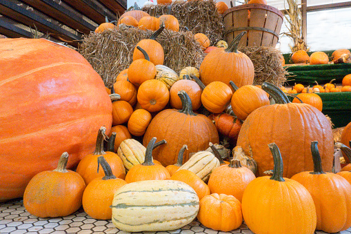 The porch of the house is decorated with pumpkins, flowers, grapes, sunflowers, a basket of rowan berries for Halloween or Thanksgiving