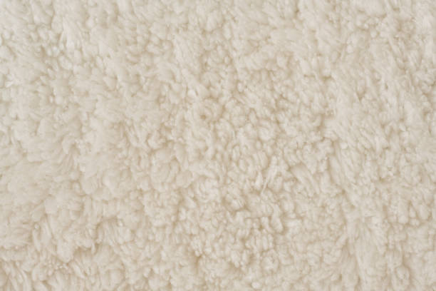istock White wool with white top texture background, light natural sheep wool, white seamless cotton, texture of fluffy fur for designers, close-up fragment white wool carpet 1423043580