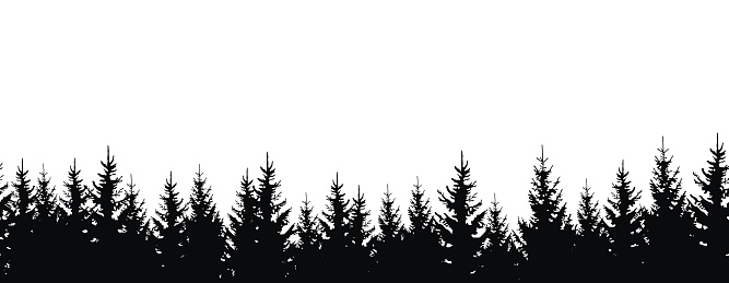 Vector seamless pattern with silhouettes of trees on white background
