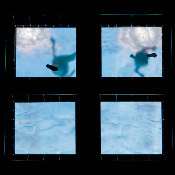 istock people swimming in the pool, activities and recreation 1423048338