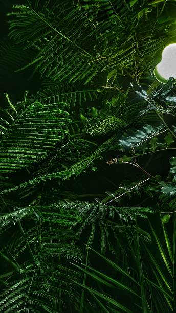 istock Plant with the green light 1423050031