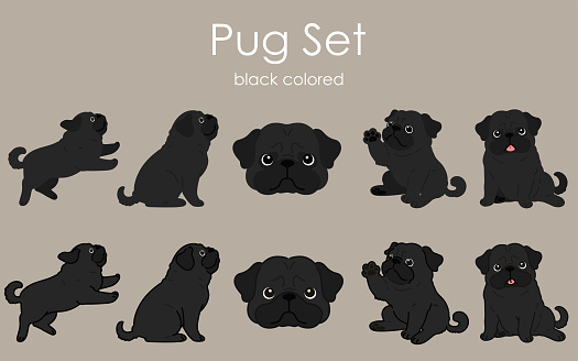 Simple and cute black colored Pug illustrations set