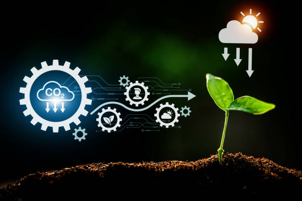 istock The Sapling are growing from the soil with sunlight and carbon dioxide absorb cycle 1423054499