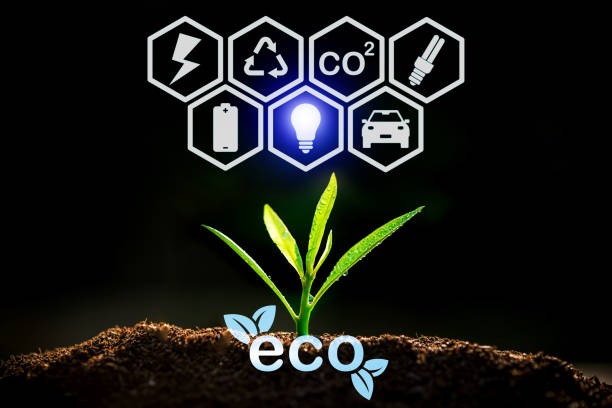 istock The Sapling are growing from the soil with sunlight and carbon dioxide absorb cycle 1423054511