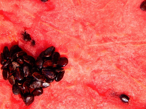 Against the background of watermelon pulp, a heart made of bones is folded