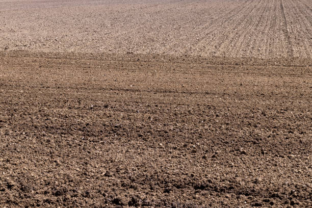 istock plowed soil in an agricultural field during tillage 1423057246
