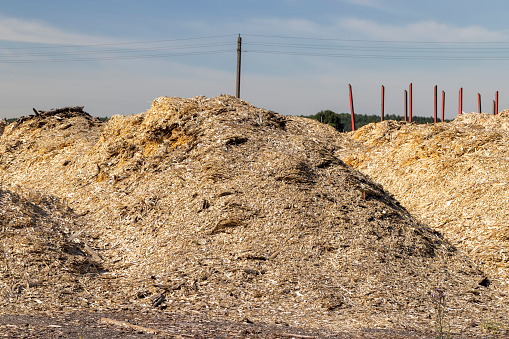 A large pile of sawdust from wood after wood processing, waste from wood production in the form of sawdust