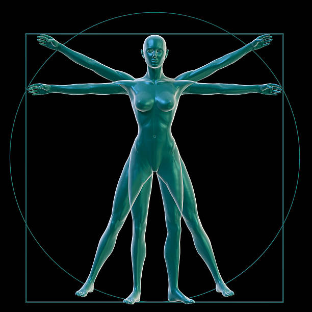 istock Vitruvian woman on black 142305958