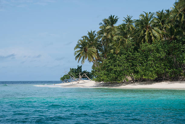 istock Tropical Island Ari Atoll, Maldives 142306673