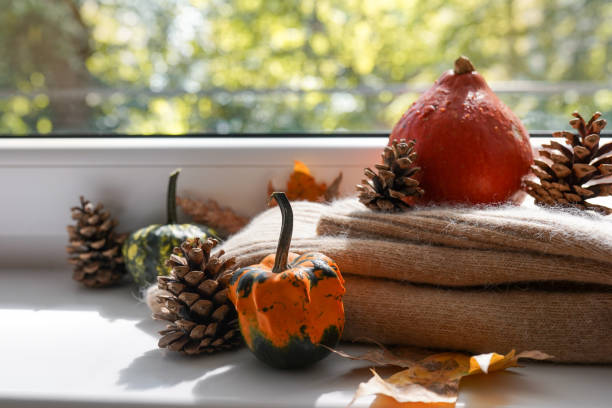 istock Cozy autumn still life on the windowsill: pumpkins, warm wool sweaters, ,maple leaves 1423069892