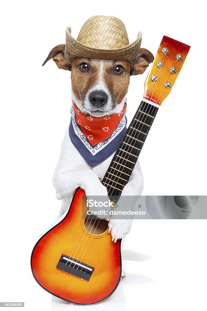 Perro con guitarra - Foto de stock de Música rock libre de derechos