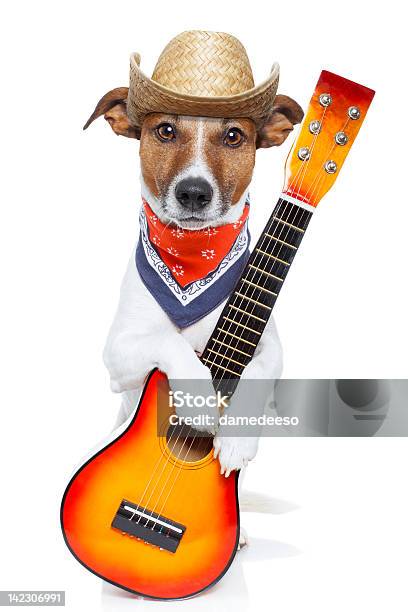 Perro Con Guitarra Foto de stock y más banco de imágenes de Música rock - Música rock, Perro, Actuación - Representación